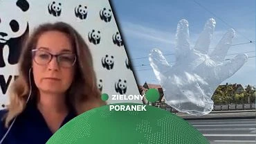 Katarzyna Karpa-widerek gocini Zielonego poranka Gazeta.pl