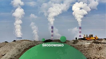 Greenpeace krytycznie o PGE. Pastwowa spka emituje rocznie wicej dwutlenku wgla ni Dania czy Wgry