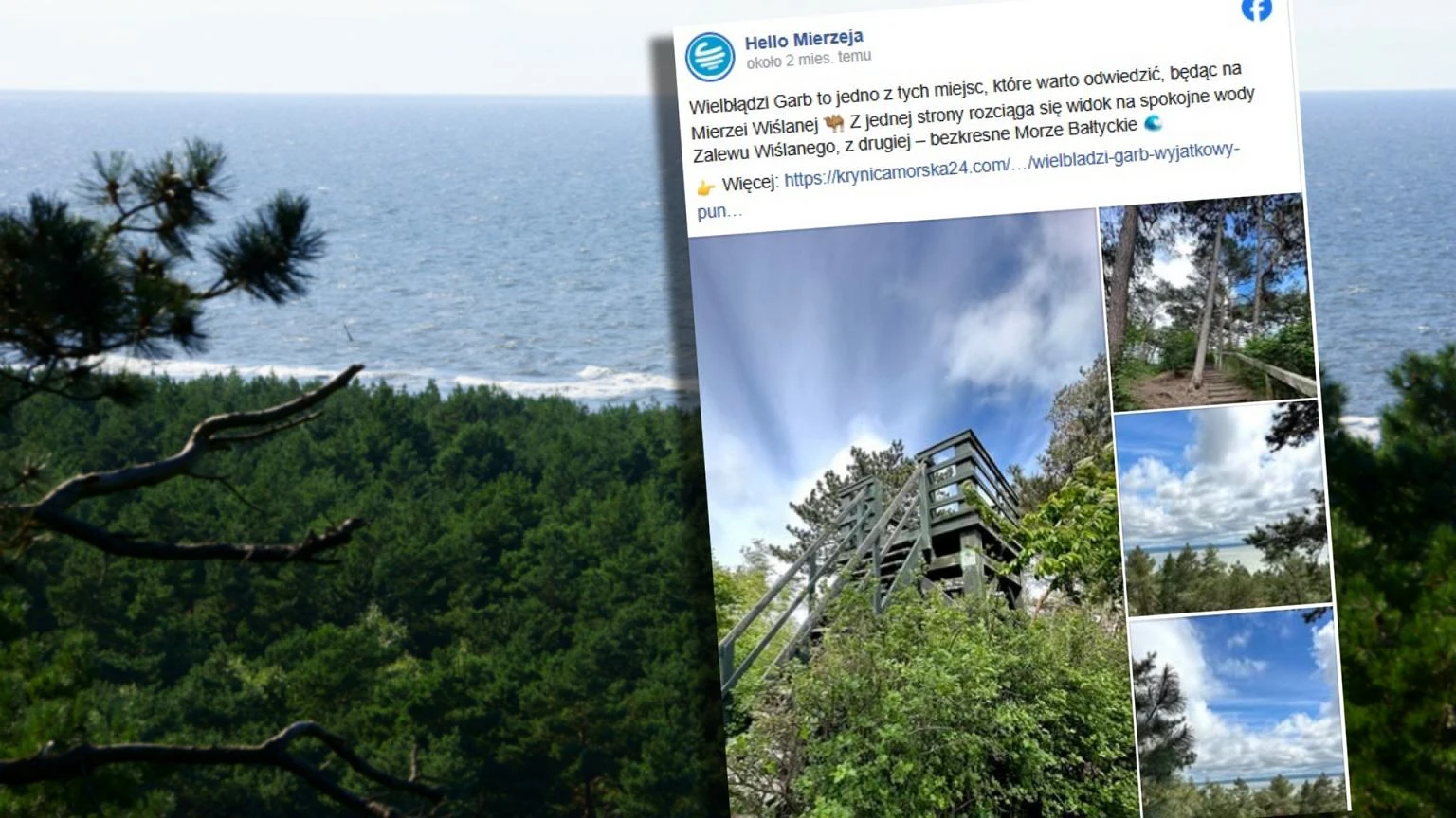 Perła Pomorza ukryta w lesie. Panorama jak z pocztówki i to zupełnie za darmo