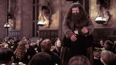 Gwiazdor 
