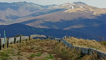 Bieszczady. Odnaleziono ludzkie szcztki i australijskie prawo jazdy. To byy dziaacz 