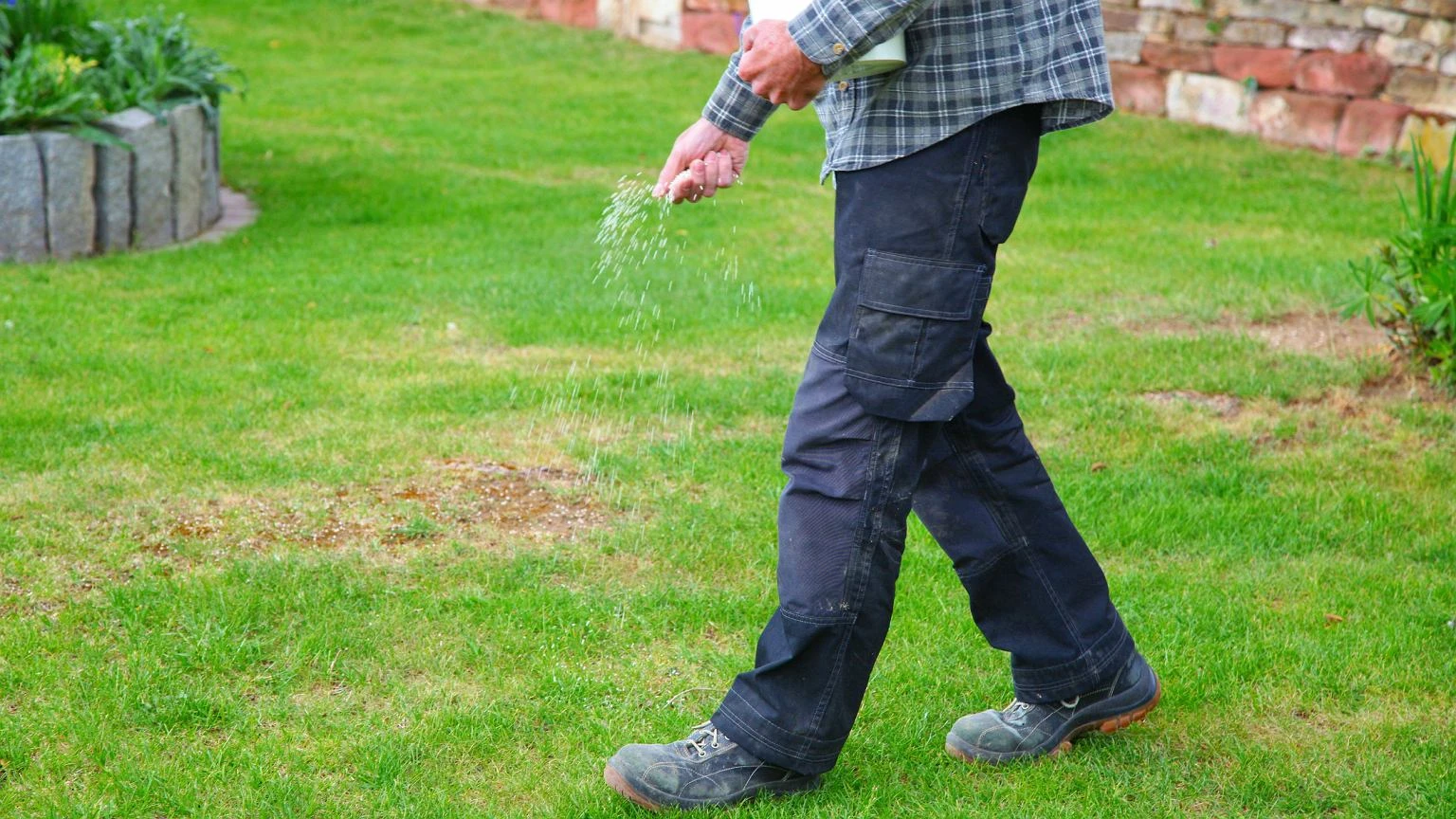 Sianie trawy jesieniÄ? Tylko do tego terminu. Wystarczy 7 dni i zacznie kieĹkowaÄ