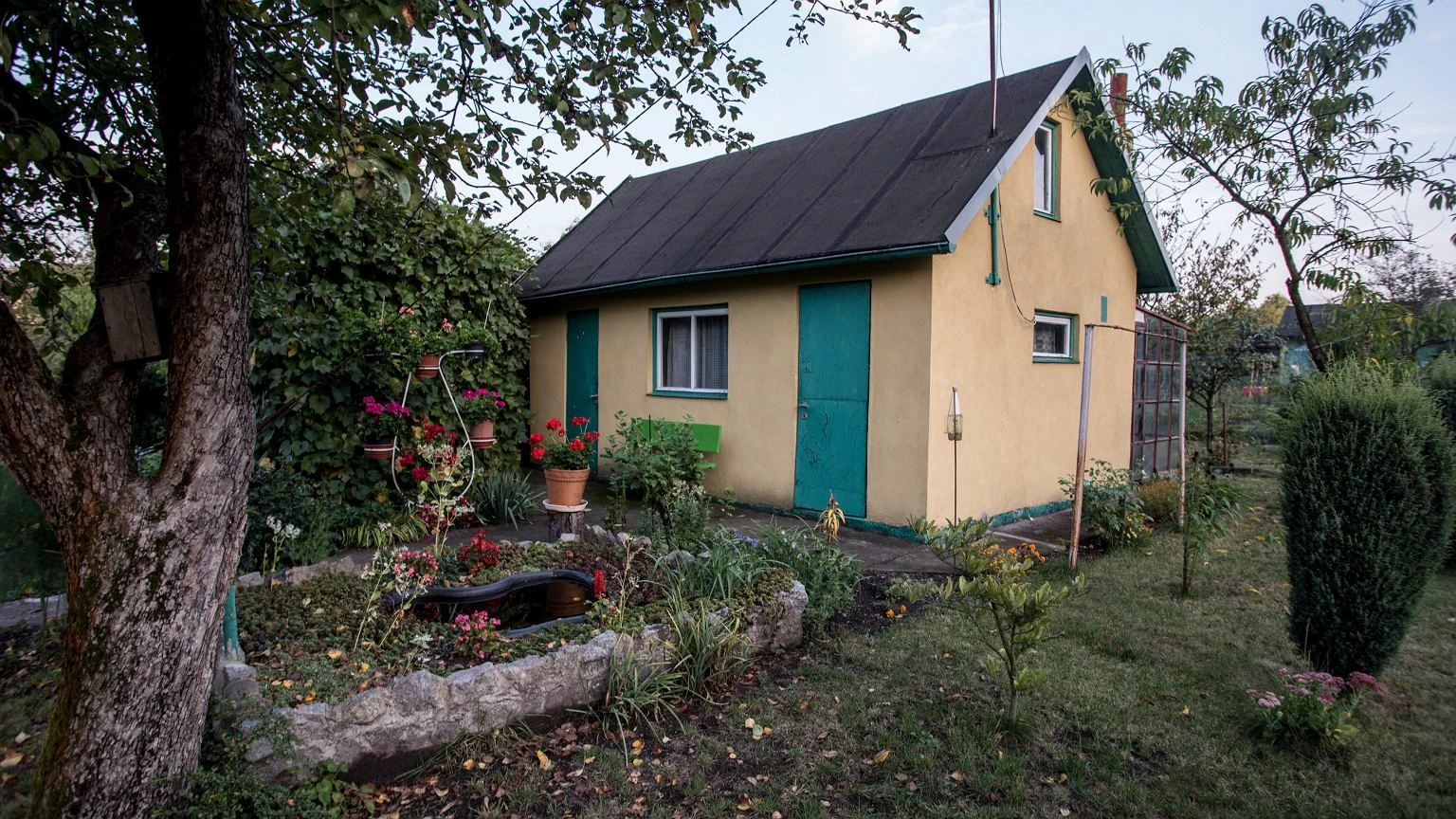 Działka ROD to luksus? Niektóre są droższe niż mieszkanie. Ceny sięgają nawet 400 tys. zł