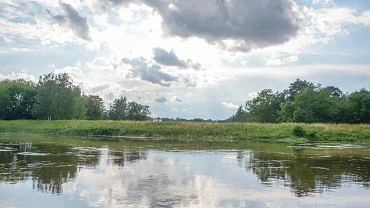 Lubuskie. Ciaa maestwa oraz ich psa w samochodzie nad Odr. Znalaza je ich crka