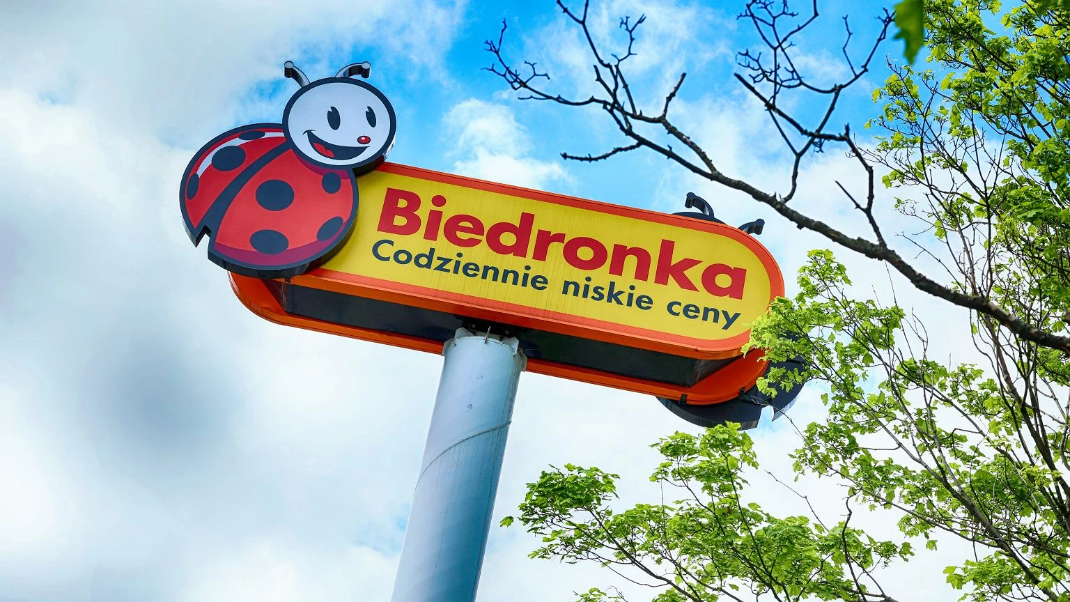 Teraz nawet 50% taniej - porcelana z Biedronki podbija polskie stoły. A co na to Homla?
