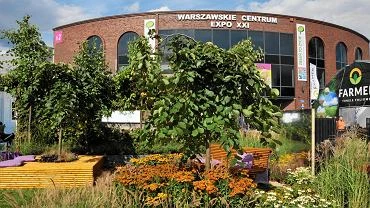 Drugi szpital polowy w Warszawie. WP: Bdzie w hali Expo przy ul. Prdzyskiego