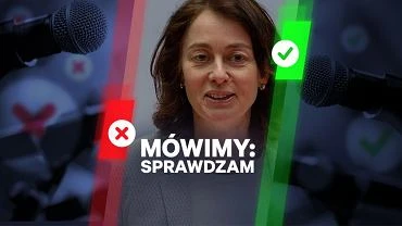 Niemiecka eurodeputowana nie mwia o 
