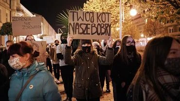 Burmistrz widnika przeprasza protestujcych za nazwanie ich 