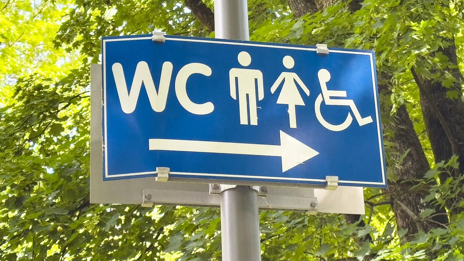 KaĹźdy widziaĹ, maĹo kto wie. Co naprawdÄ oznacza skrĂłt WC?