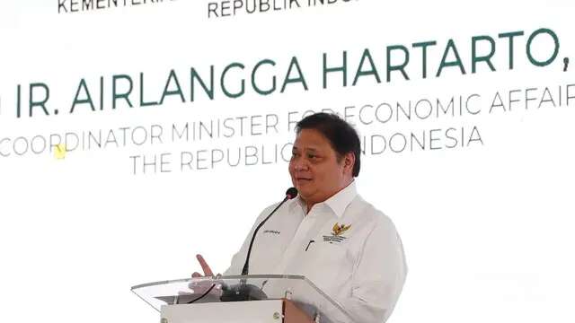 Menko Airlangga: Bakal Ada Investasi Baru Masuk ke Kawasan Industri Wiraraja Batam USD17,6...