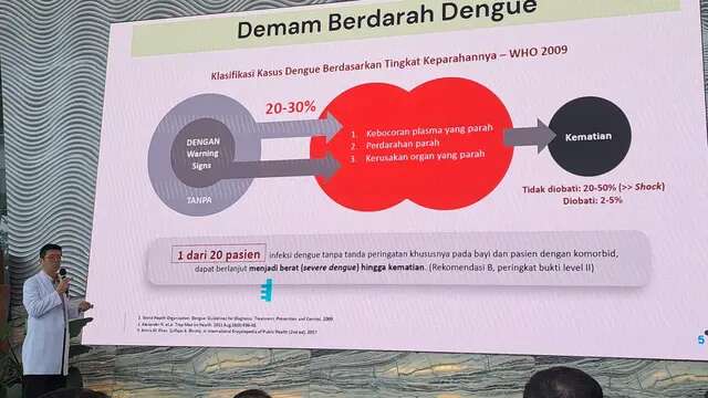 DBD pada Anak, Waspadai Masa Kritis yang Beresiko Perdarahan