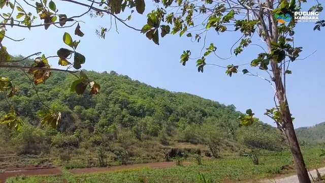 Wotawati, Transformasi Kampung Tersembunyi di Gunungkidul Jadi Destinasi Wisata Sejarah