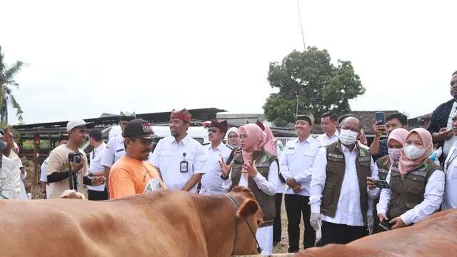 Cegah Penyakit Mulut dan Kuku, Banyuwangi Vaksinasi Puluhan Ribu Sapi