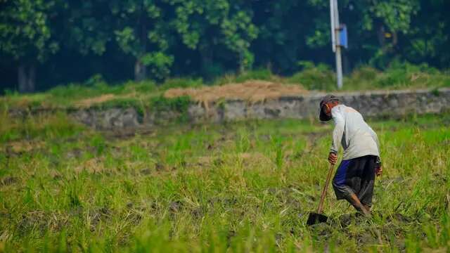 Petani Orde Baru Lebih Sejahtera dari Sekarang, Ini Buktinya