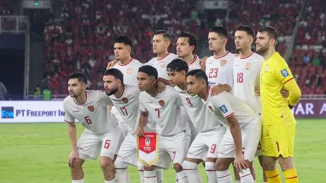 VinFast, Mobil Listrik Asal Vietnam Ngebet Jadi Sponsor Timnas Indonesia 