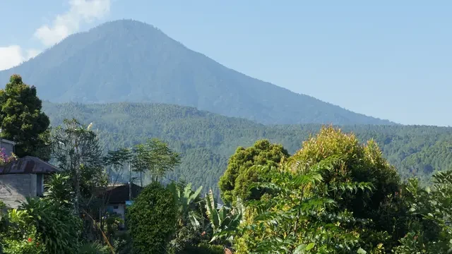 Larangan Membawa Daging Sapi ke Gunung Agung