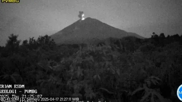 Gunung Semeru Erupsi, Tinggi Letusan Capai 700 Meter
