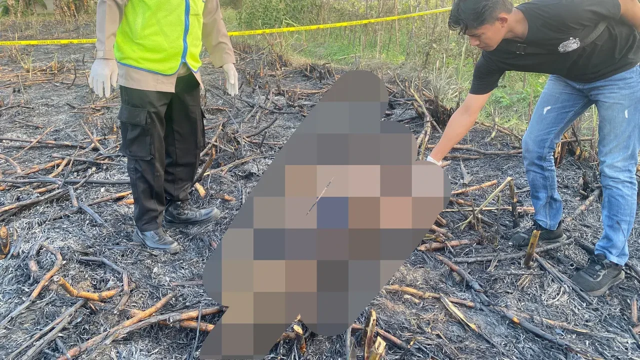 Petani Ditemukan Tewas Terbakar di Ladang Tebu Pati