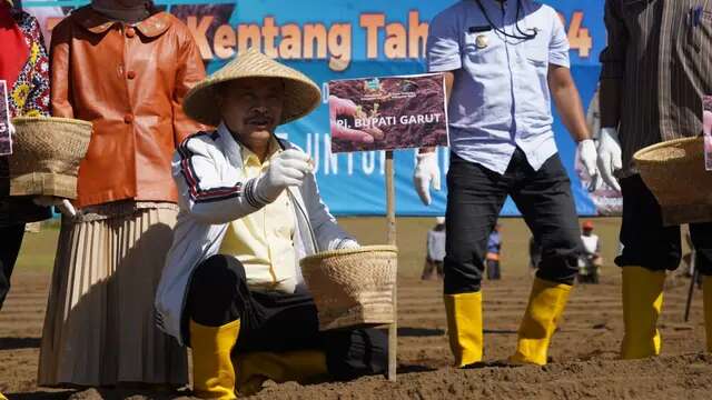 Mimpi Garut Menjadi Pemain Utama Kentang Dalam Negeri Lewat Proyek Upland