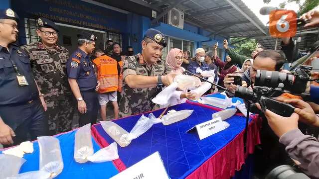 KKP Bongkar Penyelundupan Benih Bening Lobster Rp7,8 Miliar di Lampung