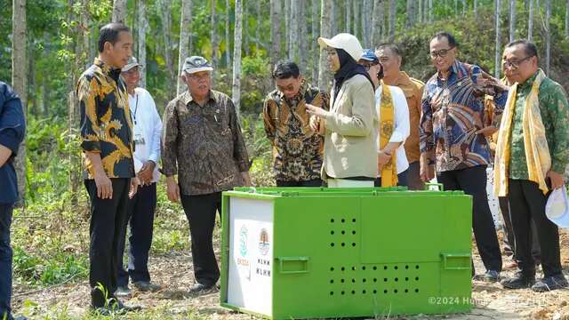 IKN Siapkan 621 Hektare Hutan Pendidikan dan Penelitian