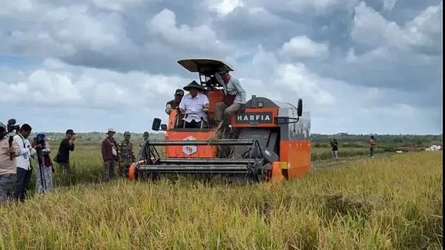 Optimasi Lahan di Merauke Sukses, Mampu Panen Raya Padi Seluas 14 Ribu Hektare