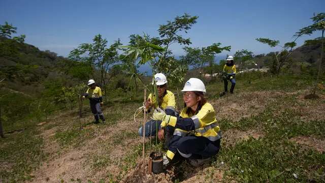 Anak Usaha Merdeka Copper Gold Rehabilitasi 77,3 Hektar Lahan Eks Lokasi Tambang di Banyuw...