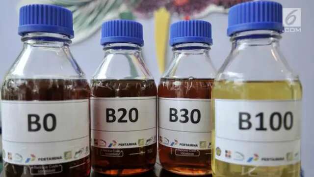 Indonesia Terapkan Biodiesel B40 Mulai 2025