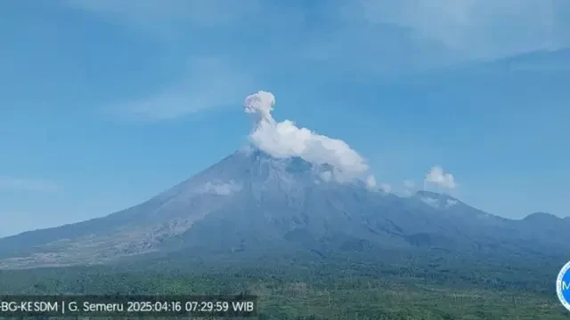Gunung Semeru Kembali Erupsi, Letusan Abu Vulkanik Capai 1.000 Meter