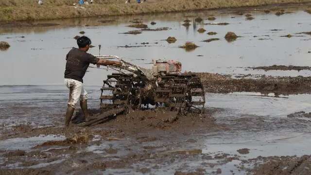 Wujudkan Swasembada Pangan, Kementan Gencarkan Program Cetak Sawah dan Optimasi Lahan