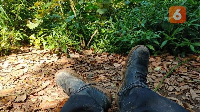 Mukormikosis, Penyakit Langka yang Mematikan