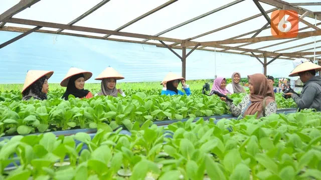 Usung Konsep Agrotechnopark, Desa Batulicin Irigasi Berbenah Menuju Desa Wisata Nasional