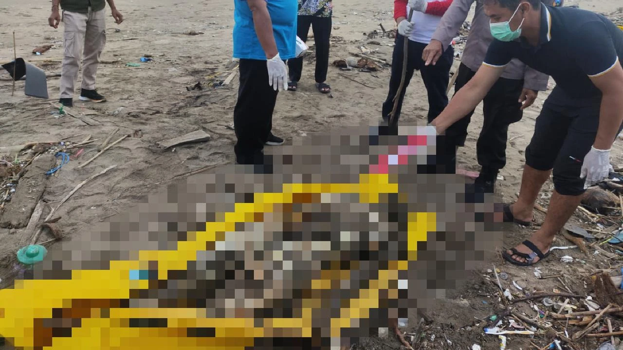 Mayat Perempuan Misterius Ditemukan di Pantai Alas Purwo, Tubuh Membusuk dan Ada Luka Robe...