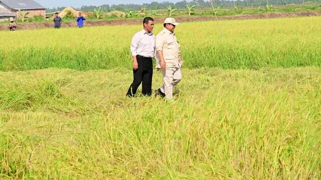 Perintah Mentan: Bulog Serap Beras Lokal 3 Juta Ton, Ditopang Dana Rp 16 Triliun