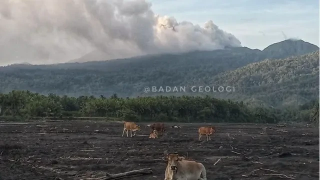 Badan Geologi Sampaikan Evaluasi Aktivitas Gunung Dukono, Apa yang Mesti Diwaspadai?