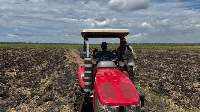 Petani di Merauke Senang Sawahnya Kini Bisa Ditanam 3 Kali dalam Setahun