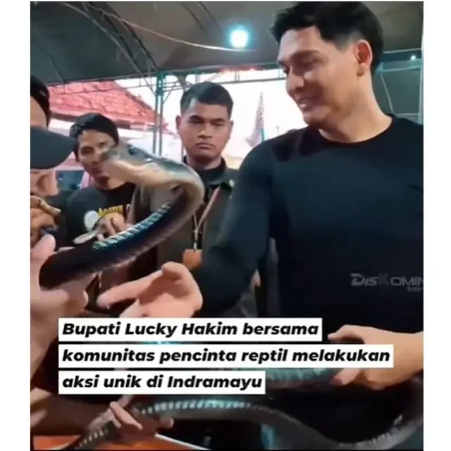 6 Fakta Bupati Lucky Hakim Sebar Ular ke Sawah, Hewannya Cuma Sebesar Jempol Kaki Orang De...
