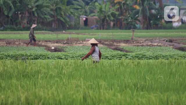 Wamenkeu Anggito: Target Pertumbuhan Ekonomi 8 Persen Bukan Hal yang Mustahil