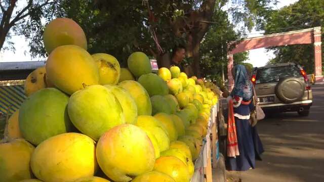 Simak Asal Usul Indramayu Dapat Julukan Kota Mangga