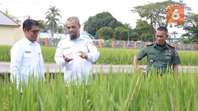 Tingkatkan Produksi Pertanian, BBPP Batangkaluku Terima Kunjungan Stafsus Kementan