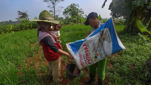 Oknum Nakal Selewengkan Pupuk Subsidi Siap-Siap Kena Sanksi Berat