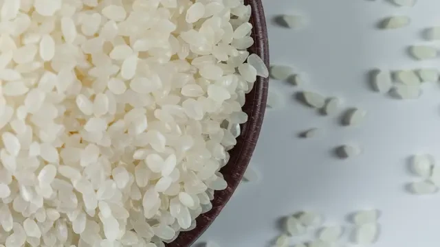 Shirataki Si Nasi Nol Kalori, Tak Cocok Bagi yang Ingin Tambah Massa Otot