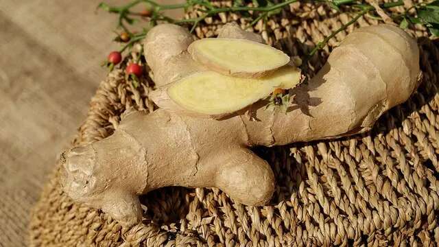 15 Makanan Super untuk Penuhi Kebutuhan Nutrisi Anda dan Keluarga