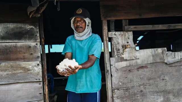 Pemerintah Setop Impor Garam Konsumsi Tahun Depan, Produksi Nasional Cukup?