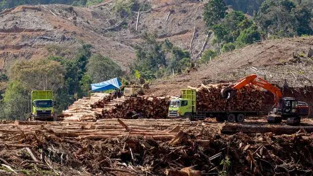 Kerusakan Hutan Gorontalo di Balik Dalil Transisi Energi