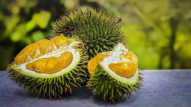 Mitos atau Fakta Terkait Durian dan Pengaruhnya Terhadap Kadar Kolesterol Tubuh