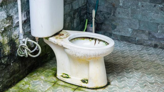 Bau Ini Menandakan Septic Tank Penuh, Berikut Cara Mengatasinya