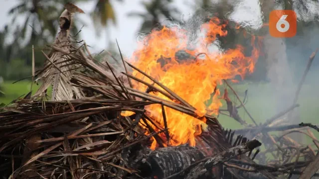 Aturan Bakar Ladang Dicabut, Pemerintah Dianggap Abaikan Kearifan Lokal