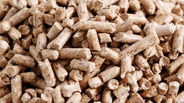 Beri Kepastian Investor, Target 10 Juta Ton Biomassa Harus Bersifat Mandatori