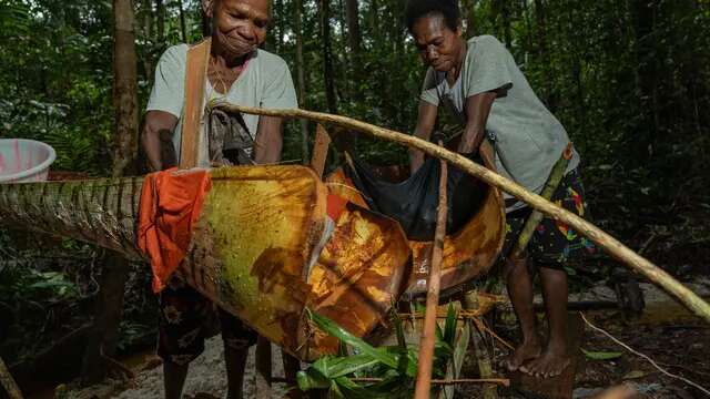 Hutan adalah Ibu, Cerita Masyarakat Adat Papua Manfaatkan dan Lindungi Pohon Sagu